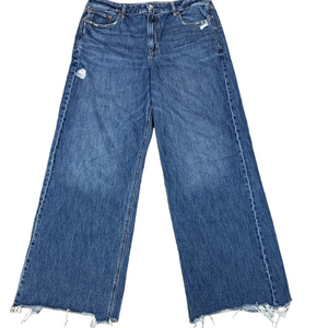 American Eagle Outfitters Blue Flare & Wide Leg Jeans